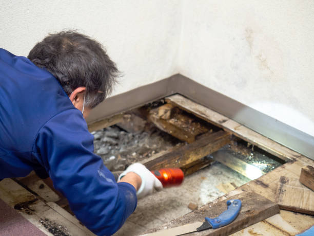 Best Bathroom Mold Remediation in Matheny, CA