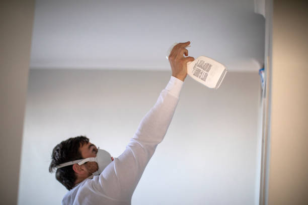 Best White Mold Remediation in Matheny, CA